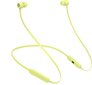 Beats Flex – All-Day Wireless Earphones - Yuzu Yellow - MYMD2ZM/A цена и информация | Kõrvaklapid | kaup24.ee
