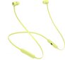 Beats Flex – All-Day Wireless Earphones - Yuzu Yellow - MYMD2ZM/A hind ja info | Kõrvaklapid | kaup24.ee