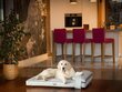 Koera madrats Hobbydog Move Grey, M, 80x53 cm hind ja info | Pesad, padjad | kaup24.ee