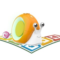 Matemaatikakaardid robotile Qobo Robobloq цена и информация | Развивающие игрушки | kaup24.ee