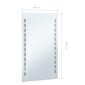 vidaXL vannitoa LED-seinapeegel 60 x 100 cm цена и информация | Peeglid | kaup24.ee