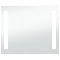 vidaXL vannitoa LED-seinapeegel 60 x 50 cm hind ja info | Peeglid | kaup24.ee