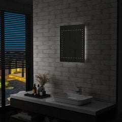 vidaXL vannitoa LED-seinapeegel 50 x 60 cm hind ja info | Peeglid | kaup24.ee