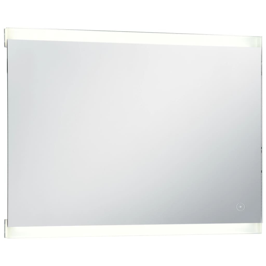 vidaXL vannitoa LED-seinapeegel puutetundliku anduriga 100 x 60 cm hind ja info | Peeglid | kaup24.ee