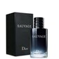 Christian Dior Sauvage EDT meestele 100 ml цена и информация | Meeste parfüümid | kaup24.ee