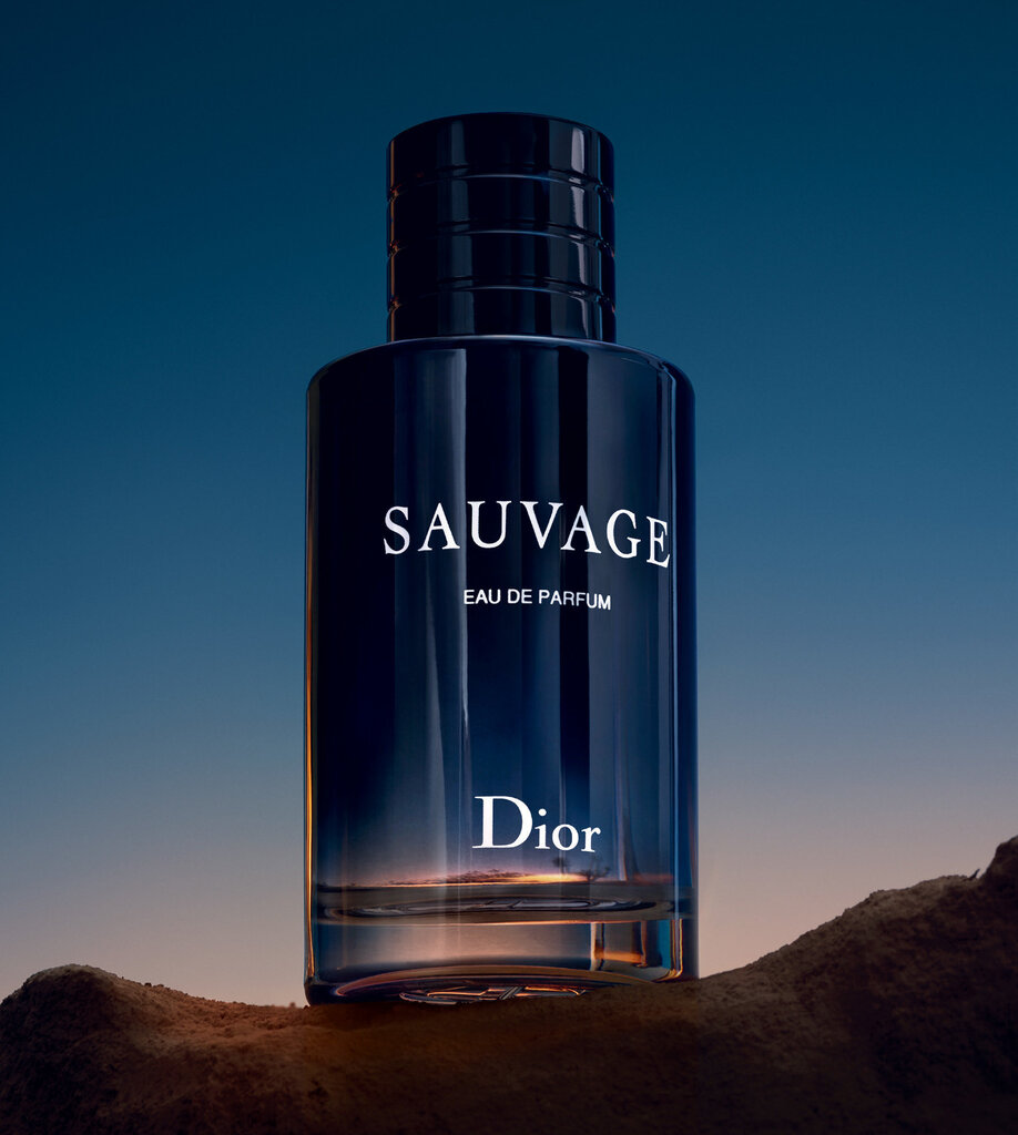 Christian Dior Sauvage EDT meestele 100 ml hind ja info | Meeste parfüümid | kaup24.ee