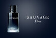 Christian Dior Sauvage EDT meestele 100 ml цена и информация | Meeste parfüümid | kaup24.ee