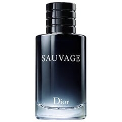 Christian Dior Sauvage EDT meestele 100 ml цена и информация | Мужские духи | kaup24.ee