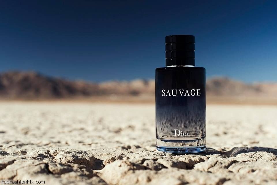 Christian Dior Sauvage EDT meestele 100 ml цена и информация | Meeste parfüümid | kaup24.ee