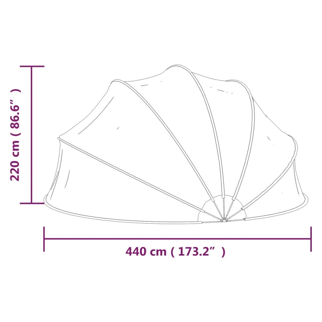 vidaXL basseinikuppel, 440 x 220 cm hind ja info | Basseinitehnika | kaup24.ee