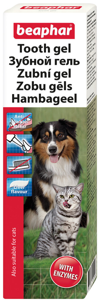 Beaphar Dog-A-Dent hambageel, 100g цена и информация | Hooldusvahendid loomadele | kaup24.ee