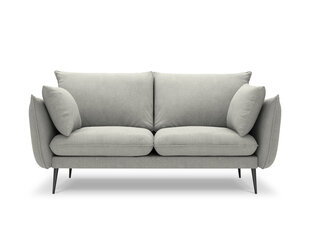 Двухместный диван Milo Casa Elio, светло-серый цена и информация | Диваны | kaup24.ee