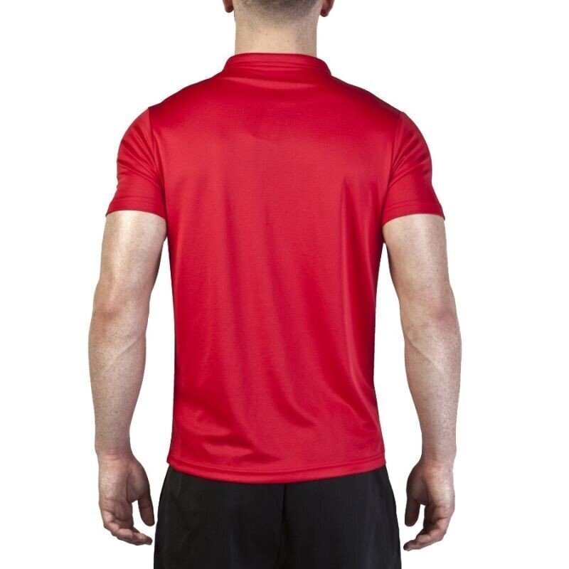 Meeste T-särk Polo Joma Hobby 100437.450, punane hind ja info | Meeste spordiriided | kaup24.ee