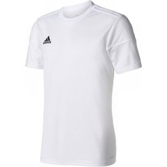 Särk poistele Adidas Squadra 17 Junior, valge hind ja info | Poiste särgid | kaup24.ee