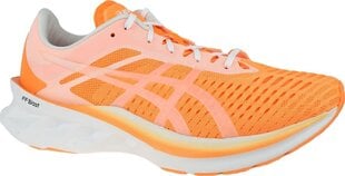 Meeste spordijalatsid Asics Novablast 1011A778-800, oranž hind ja info | Spordi- ja vabaajajalatsid meestele | kaup24.ee