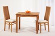 Tammepuidust söögitoakomplekt Len15 - laud 90x65 cm ja 2 tooli Sandra helebeež, õlitatud hind ja info | Köögimööbli komplektid | kaup24.ee
