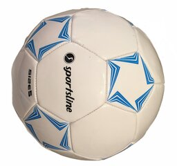 Футбольный мяч цена и информация | Футбольные мячи | kaup24.ee