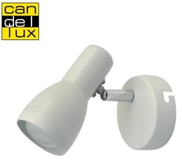 Настенный светильник Candellux 5591-43917 цена и информация | Настенный светильник Конусы | kaup24.ee