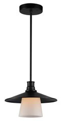 Подвесной светильник 5531-43108 цена и информация | Потолочный светильник, 38 x 38 x 24 см | kaup24.ee