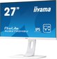 Iiyama XUB2792HSU-W1 hind ja info | Monitorid | kaup24.ee