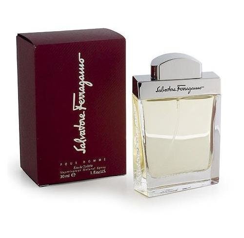Tualettvesi Salvatore Ferragamo Pour Homme EDT meestele 100 ml hind ja info | Meeste parfüümid | kaup24.ee