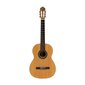 Klassikaline Flamenco kitarr Stagg SCL70-FLAMENCA hind ja info | Kitarrid | kaup24.ee