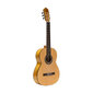 Klassikaline Flamenco kitarr Stagg SCL70-FLAMENCA hind ja info | Kitarrid | kaup24.ee