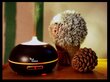 Ultraheli eeterliku õli parfüümi hajuti - niisutaja Vonivi Zen 300 ml hind ja info | Õhuniisutajad | kaup24.ee