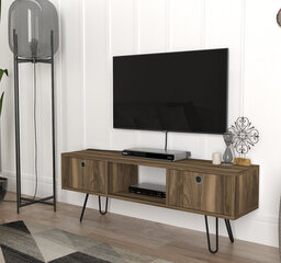TV-laud Kalune Design 756, pruun hind ja info | TV alused | kaup24.ee