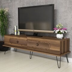 TV-laud Kalune Design 845, 145 cm, pruun цена и информация | Тумбы под телевизор | kaup24.ee