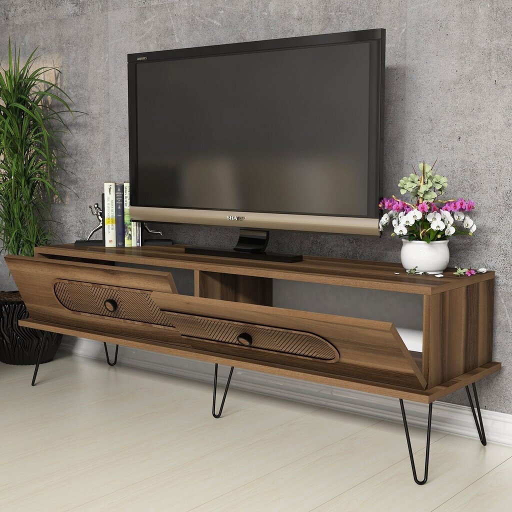 TV-laud Kalune Design 845, 145 cm, pruun hind ja info | TV alused | kaup24.ee