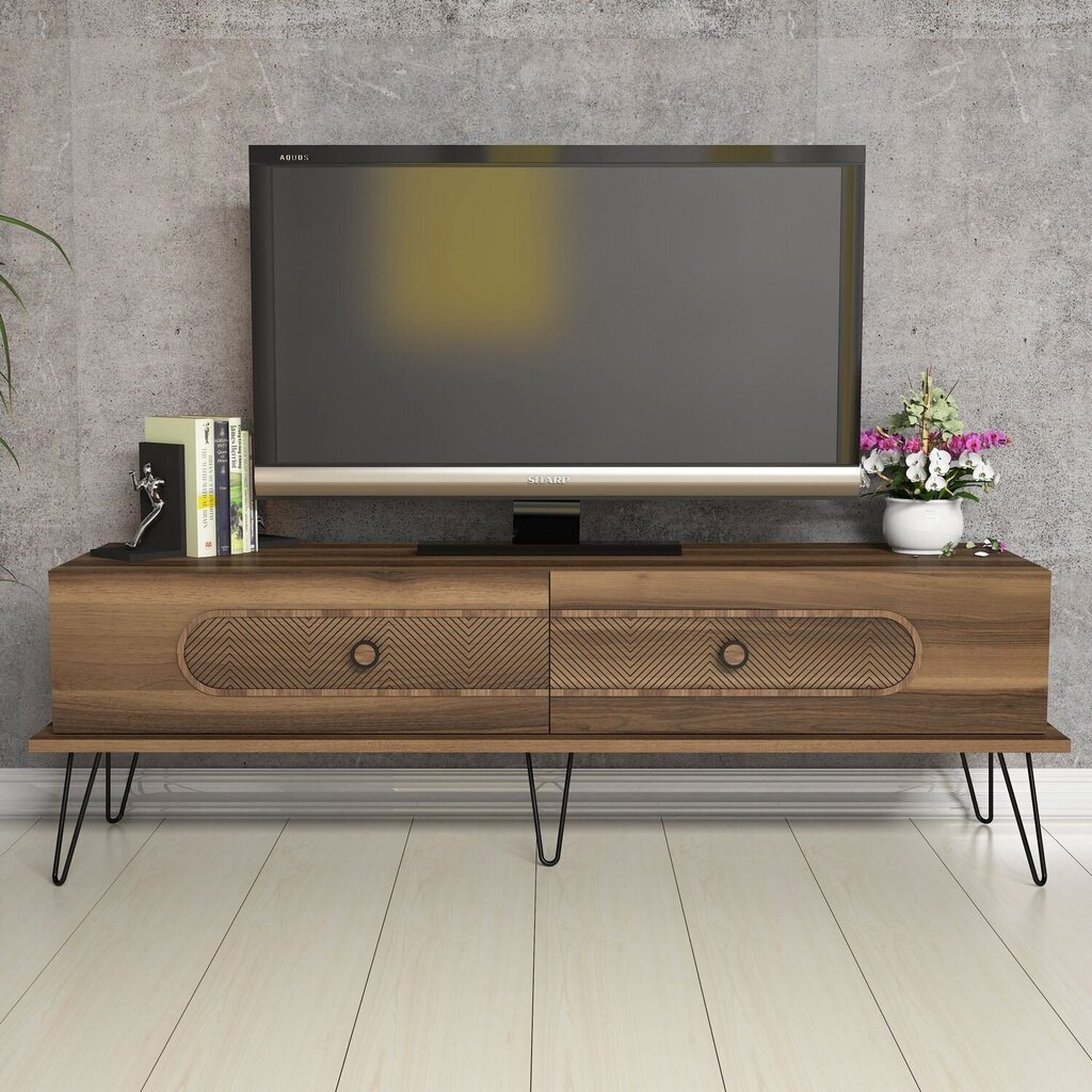 TV-laud Kalune Design 845, 145 cm, pruun hind ja info | TV alused | kaup24.ee