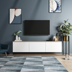 TV-laud Kalune Design 382(I), 160 cm, valge цена и информация | Тумбы под телевизор | kaup24.ee