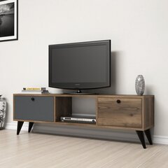 TV-laud Kalune Design 389, 138 cm, pruun/hall цена и информация | Тумбы под телевизор | kaup24.ee