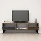 TV-laud Kalune Design 389, 138 cm, pruun/hall hind ja info | TV alused | kaup24.ee