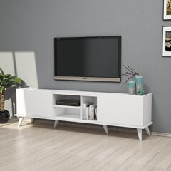 TV-laud Kalune Design 389, 180 cm, valge цена и информация | Тумбы под телевизор | kaup24.ee