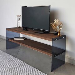 TV-laud Kalune Design 552, 120 cm, pruun цена и информация | Тумбы под телевизор | kaup24.ee