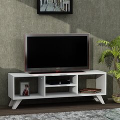 TV-laud Kalune Design 731, 125 cm, valge цена и информация | Тумбы под телевизор | kaup24.ee