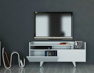 TV-laud Kalune Design 745(II), 120 cm, valge цена и информация | Тумбы под телевизор | kaup24.ee