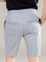 Hailys meeste shortsid FERDI*01, hall hind ja info | Meeste lühikesed püksid | kaup24.ee