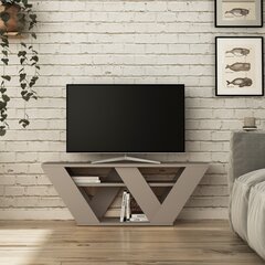 TV-laud Kalune Design 776, 110 cm, beeži värvi hind ja info | TV alused | kaup24.ee