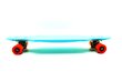 Rula Longboard hind ja info | Rulad | kaup24.ee