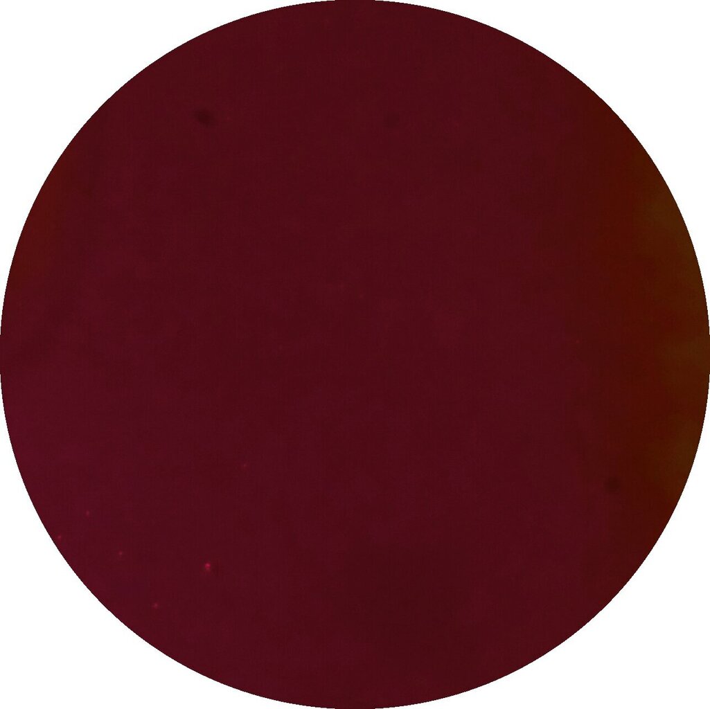 Küünelakk Alessandro Striplac Peel or Soak Rouge Noir, 8ml цена и информация | Küünelakid, küünetugevdajad | kaup24.ee