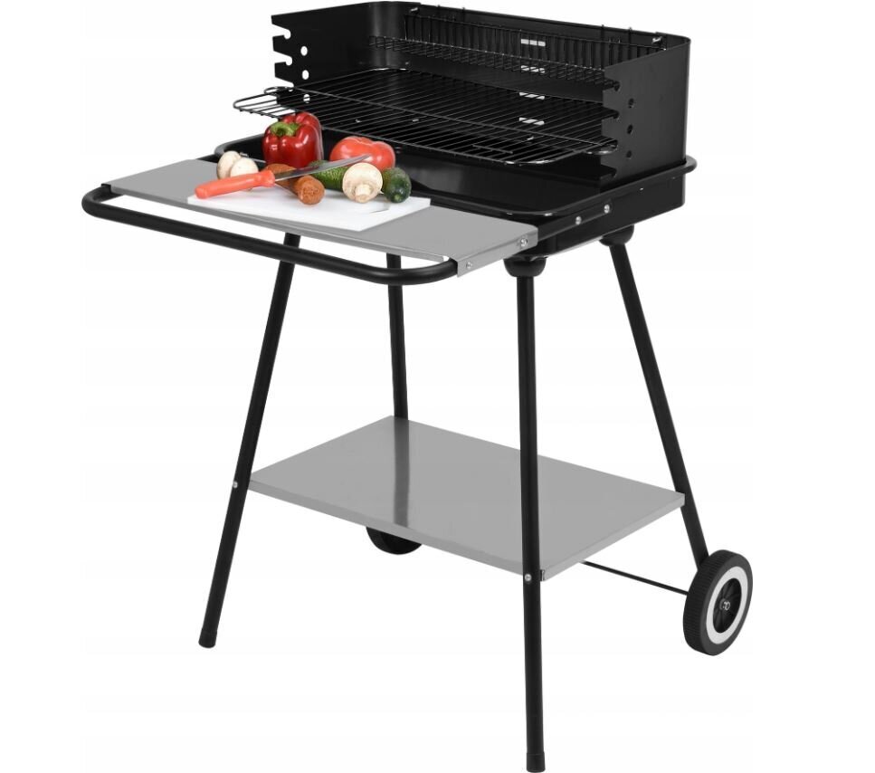 BBQ Grill LUND 54x35cm hind ja info | Grillid | kaup24.ee