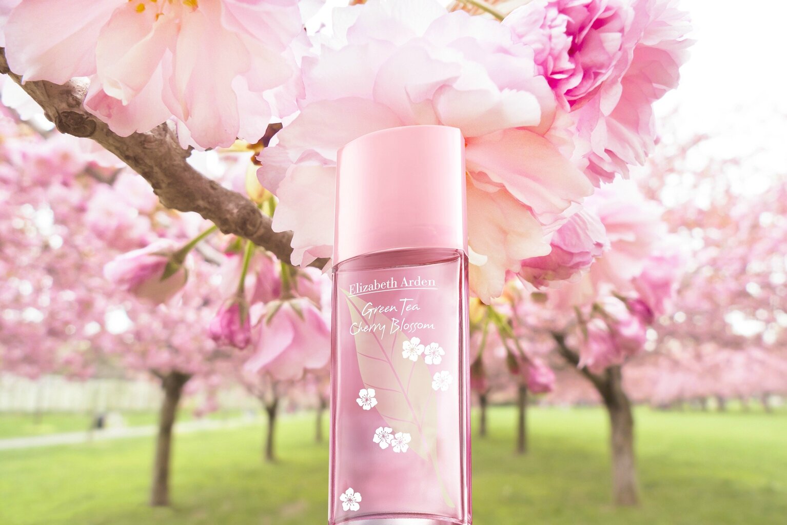 Tualettvesi Elizabeth Arden Green Tea Cherry Blossom EDT naistele 100 ml hind ja info | Naiste parfüümid | kaup24.ee