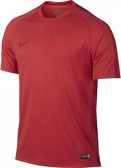 Nike футболка мужская спортивная Graphic Flash Neymar, красная цена и информация | Мужские футболки | kaup24.ee