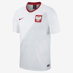 Meeste T-särk Nike Polski FTBL Top SS Home, valge цена и информация | Мужские футболки | kaup24.ee