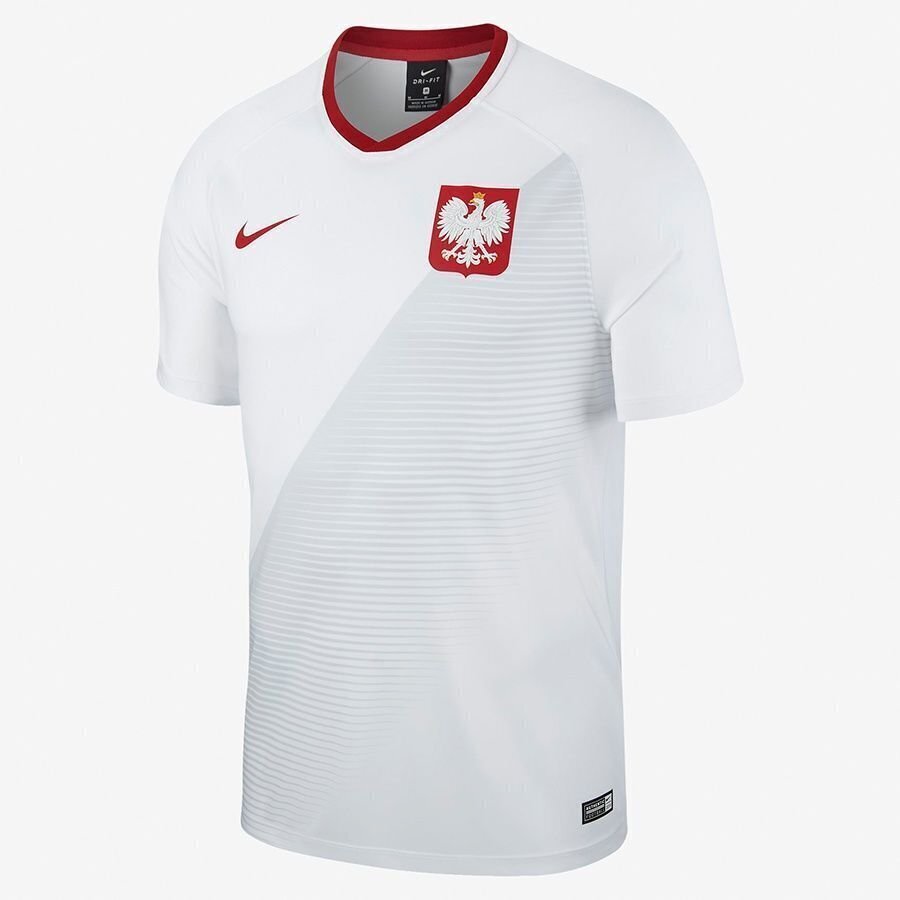 Meeste T-särk Nike Polski FTBL Top SS Home, valge hind ja info | Meeste T-särgid | kaup24.ee