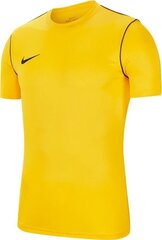 Meeste T-särk Nike Training Top BV6883 719 BV6883 719, kollane hind ja info | Meeste spordiriided | kaup24.ee