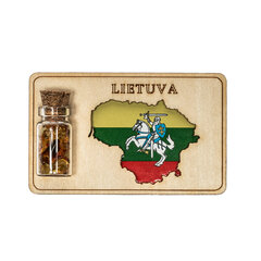 Leedu atribuutikaga magnet - 6 x 3,5 cm hind ja info | Kirjatarbed | kaup24.ee